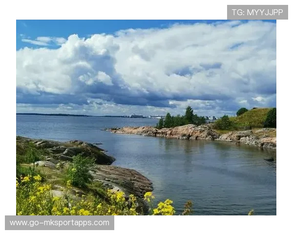 欧洲杯四强出炉 芬兰惊艳登场，欧洲杯24强巡礼芬兰