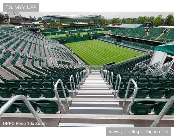 体育赛事全球化品牌建设案例分析