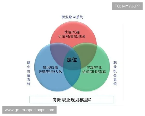 职业选手的职业生涯规划模型
