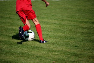 MK体育应用-青训球员选拔机制存在结构性偏见，青训选拔喜欢那种球员